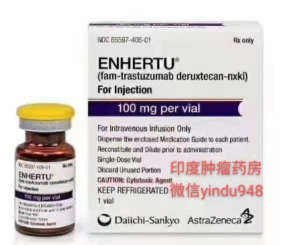 <b>Enhertu（DS-8201）Fam-tr</b>