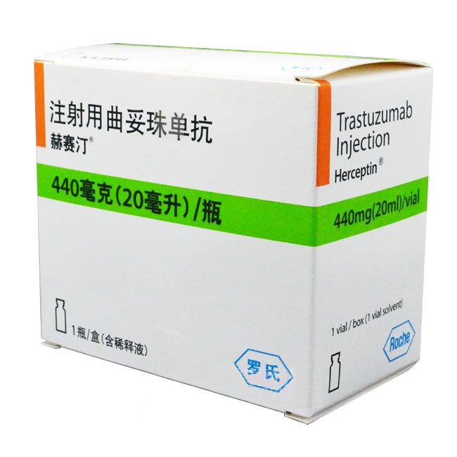 Trastuzumab 曲妥珠单抗 赫赛汀