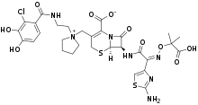 FDA批准用于治疗复杂尿路感染的新抗菌药Fetroja（cefiderocol）