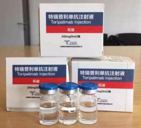 特瑞普利单抗 拓益 Toripalimab