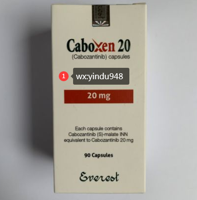 卡博替尼/卡布替尼(CABOZANTINIB)治疗的肝细胞癌患者的试验数据