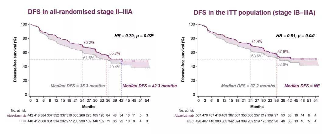 免疫治疗正式进军早期NSCLC：T药率先获批，O药当仁不让！